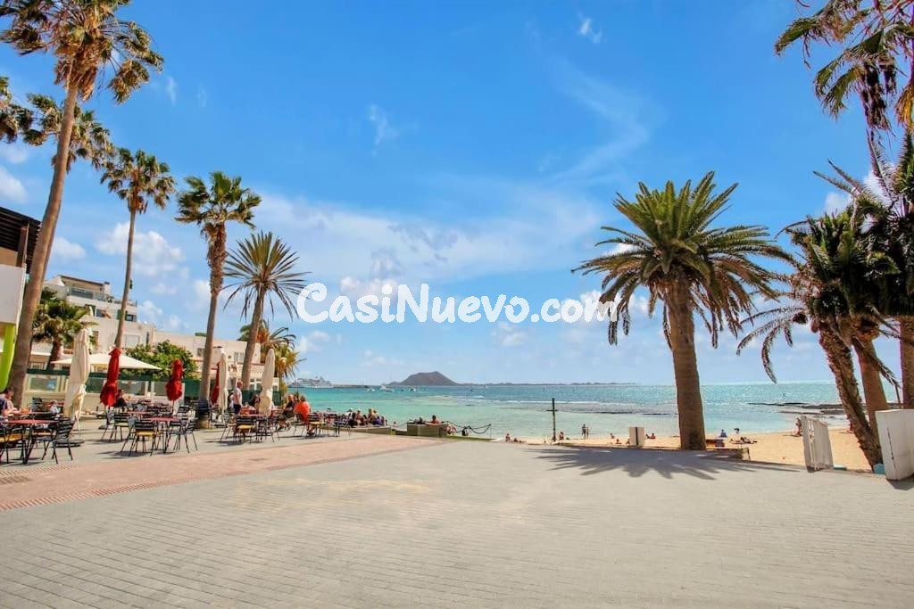 OPORTUNIDAD ÚNICA EN PRIMERA LÍNEA DE PLAYA - HOPLACO