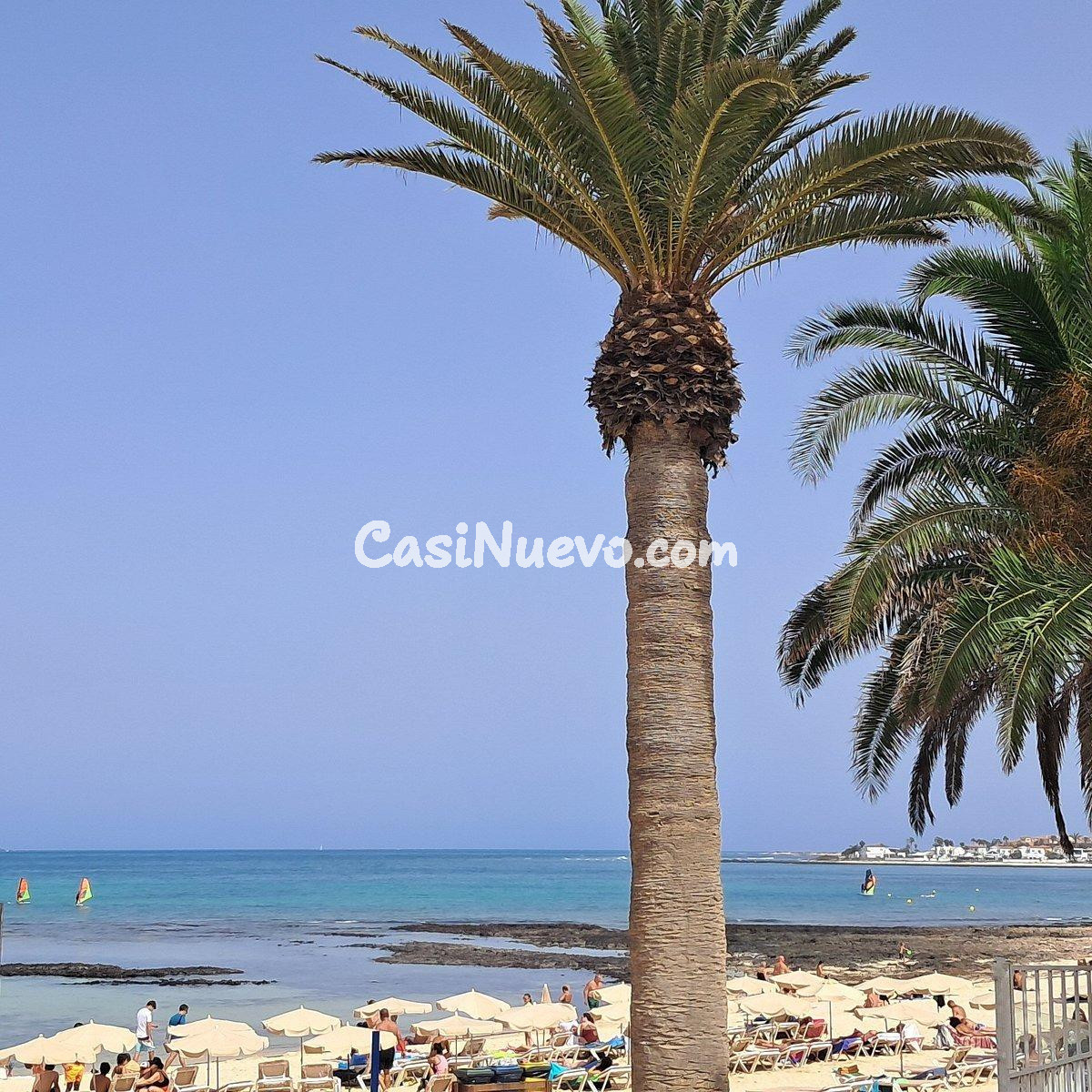 OPORTUNIDAD ÚNICA EN PRIMERA LÍNEA DE PLAYA - HOPLACO - foto 2