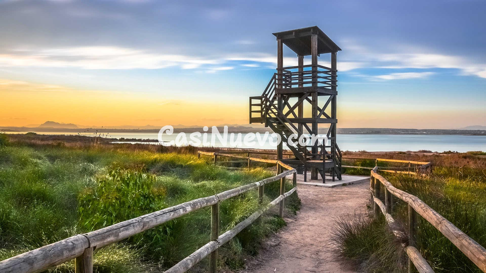 Apartamento en esquina en el corazón de Torrevieja - foto 16