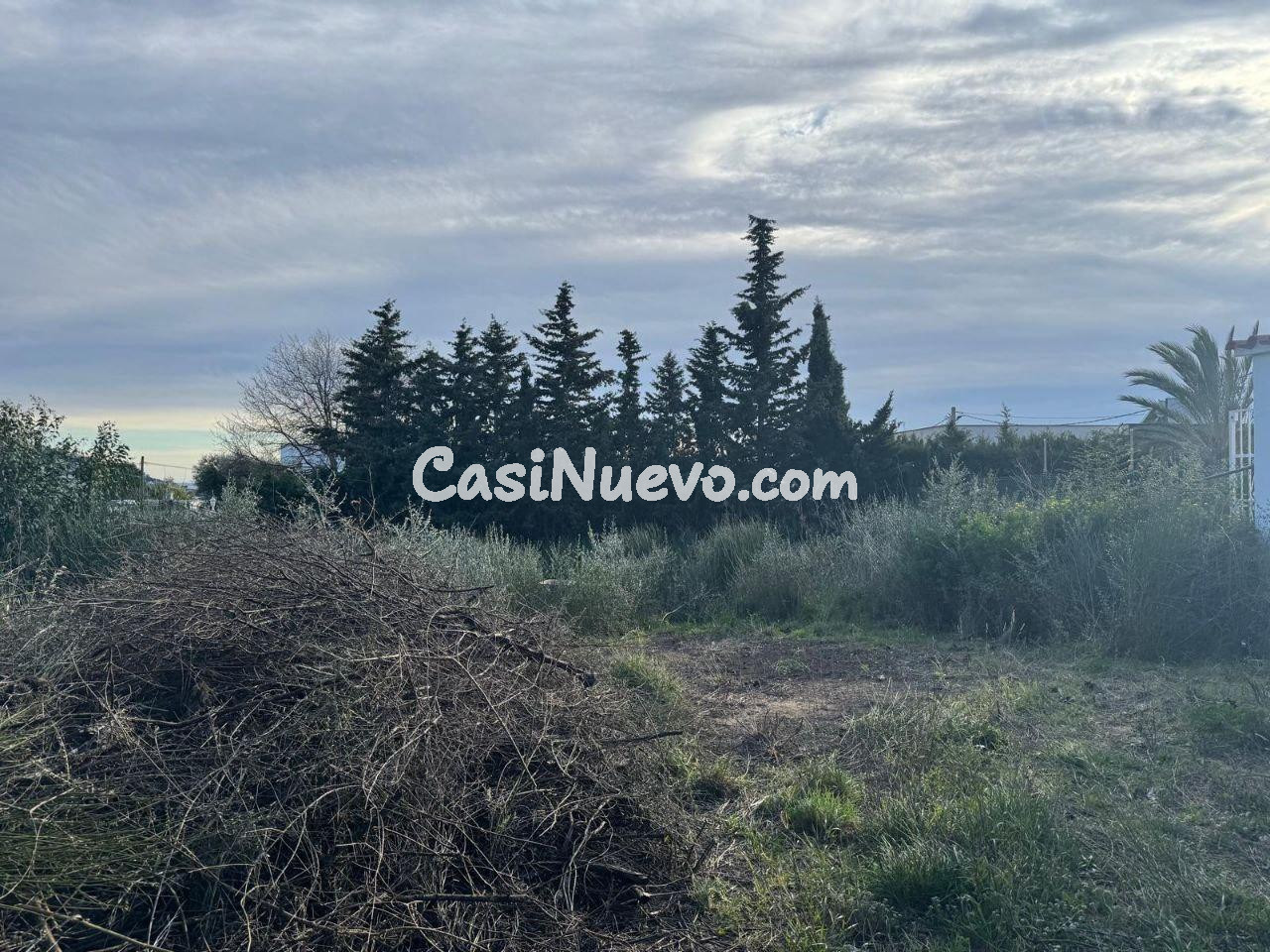 PARCELA CON VISTAS AL MAR