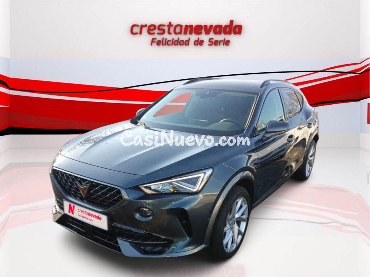 Cupra Formentor 2.0 TDI 110kW 150 CV