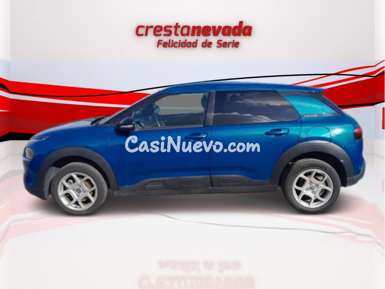 Citroën C4 Cactus PureTech 130 SS EAT6 Shine - foto 5
