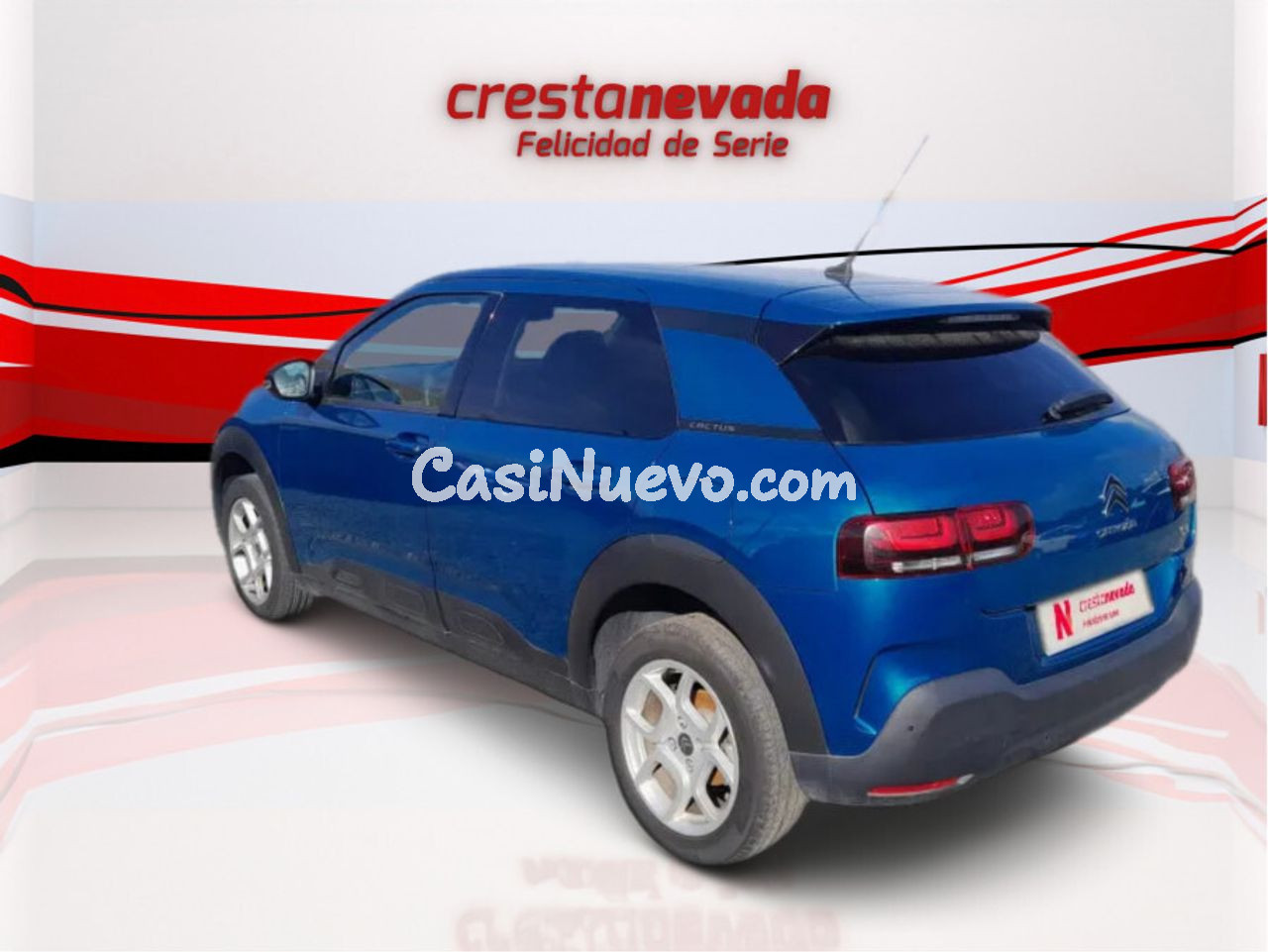 Citroën C4 Cactus PureTech 130 SS EAT6 Shine - foto 7