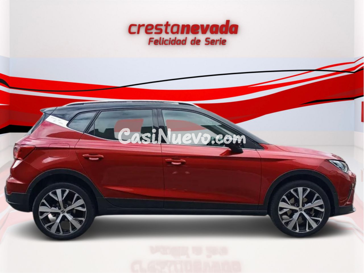 Seat Arona 1.0 TSI 81kW 110CV Xperience - foto 2