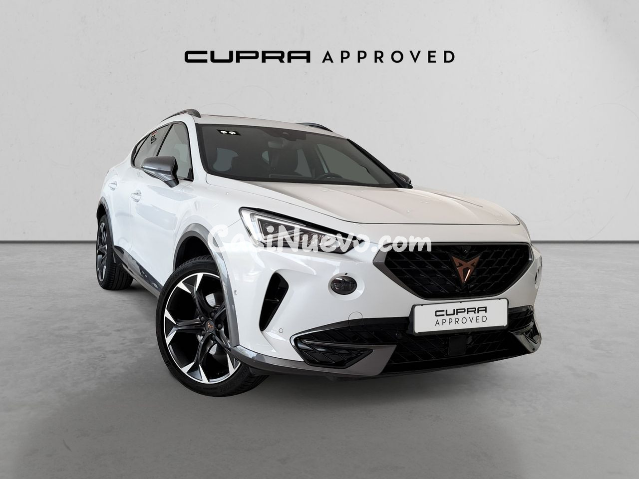 Cupra Formentor TODOTERRENO 1.5 ETSI MHEV 110KW DSG 150 5P