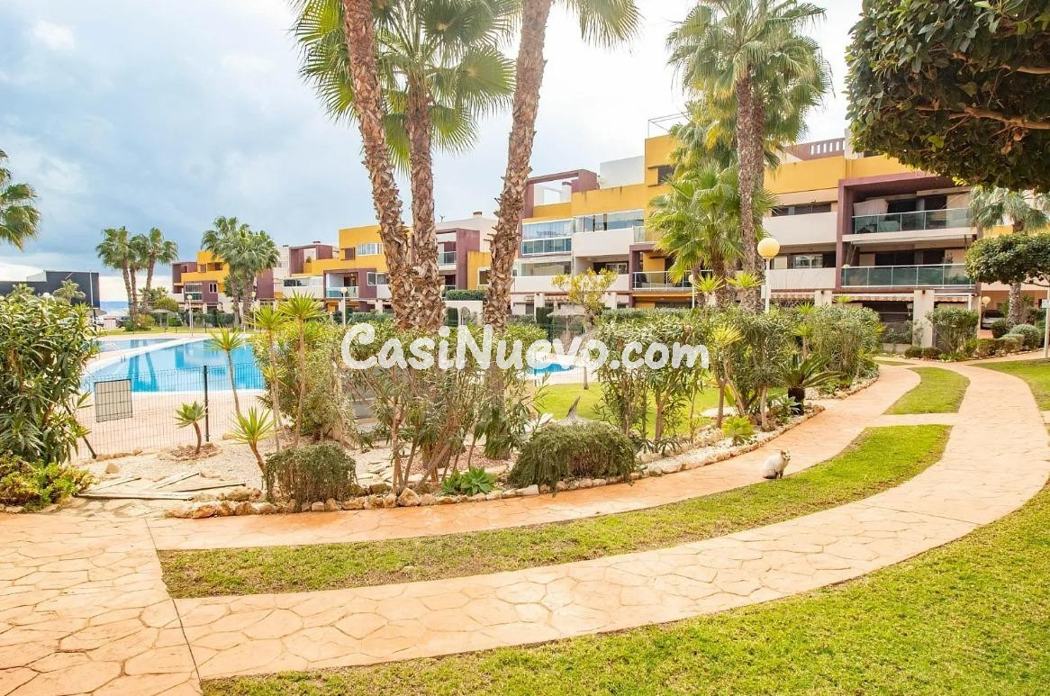APARTAMENTO DE 2 DORMITORIOS 1 BAÑO EN PLAYA FLAMENCA (ORIHU - foto 4