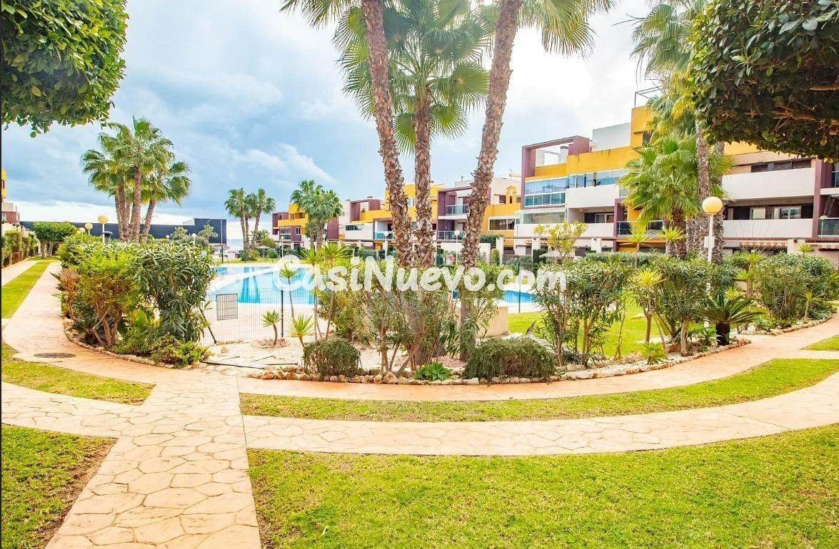APARTAMENTO DE 2 DORMITORIOS 1 BAÑO EN PLAYA FLAMENCA (ORIHU - foto 21