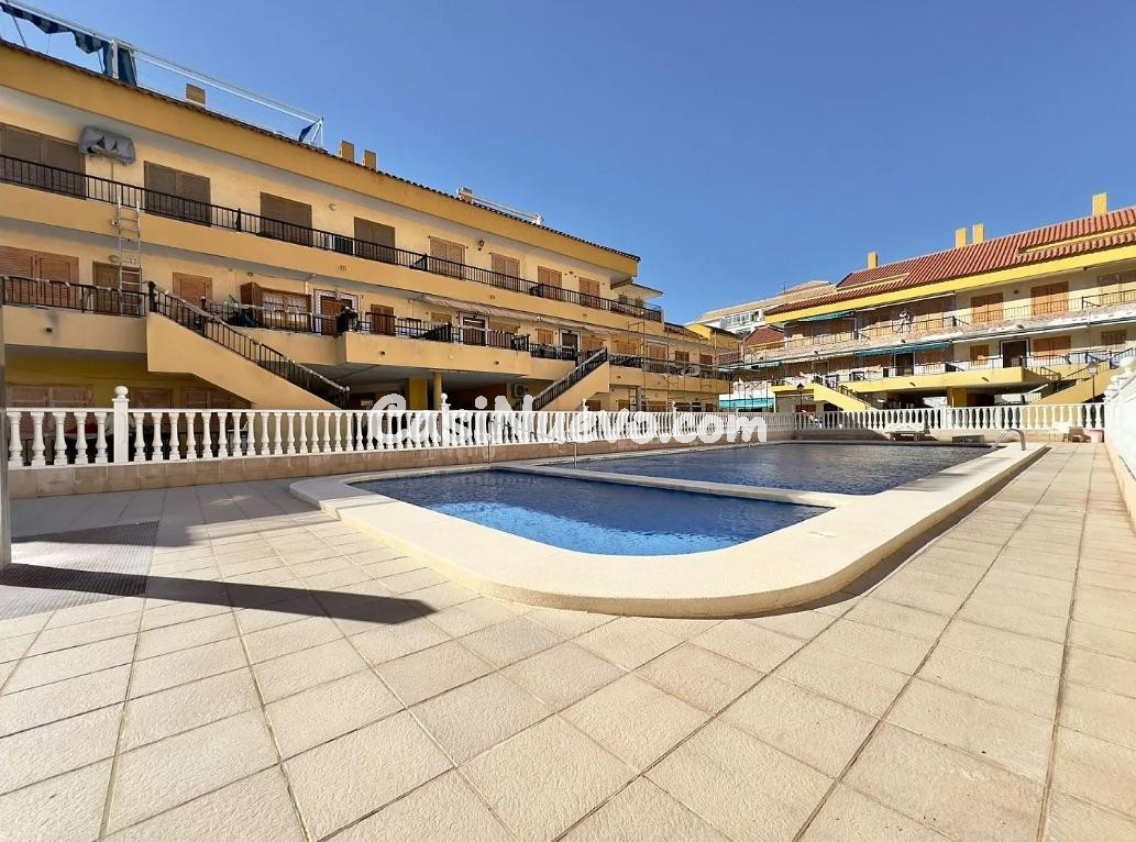 ESTUDIO EN TORREVIEJA ( ZONA LA MATA ) - foto 2