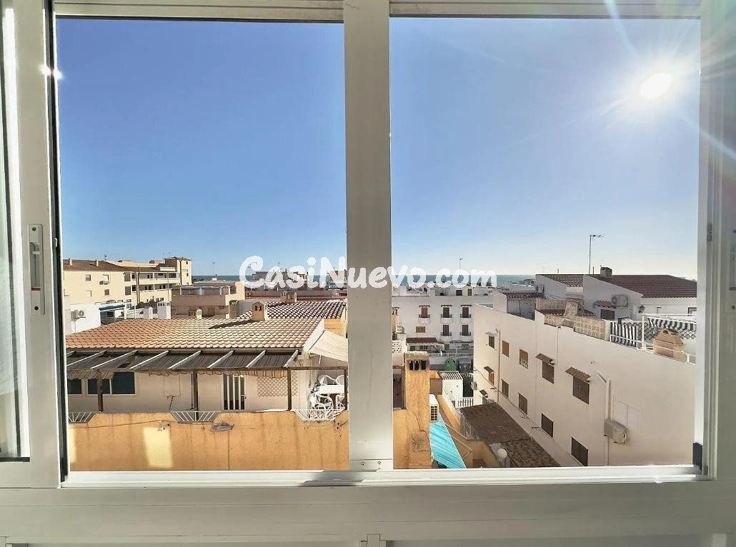 ESTUDIO EN TORREVIEJA ( ZONA LA MATA ) - foto 14