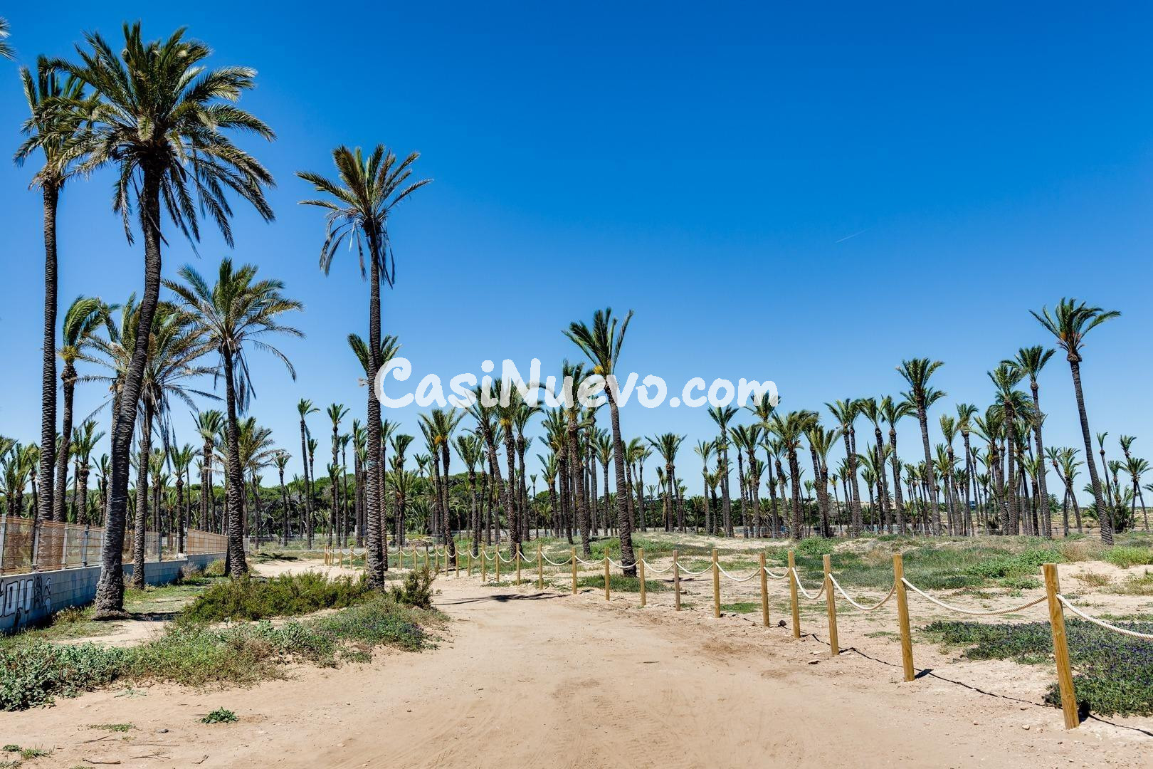 APARTAMENTO DE 2 DORMITORIOS Y 2 BAÑOS EN PUNTA PRIMA (ORIHU - foto 30