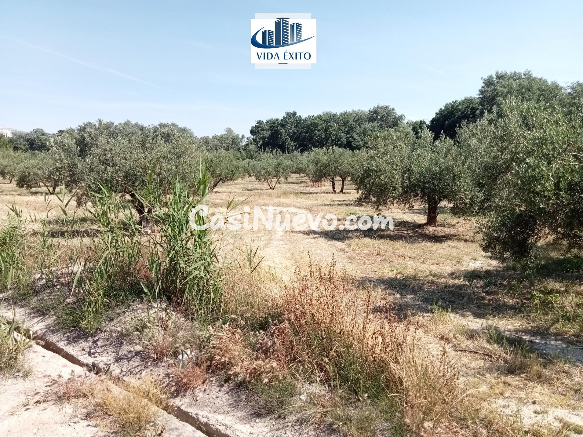 PARCELA EN PUENTE JONTOYA