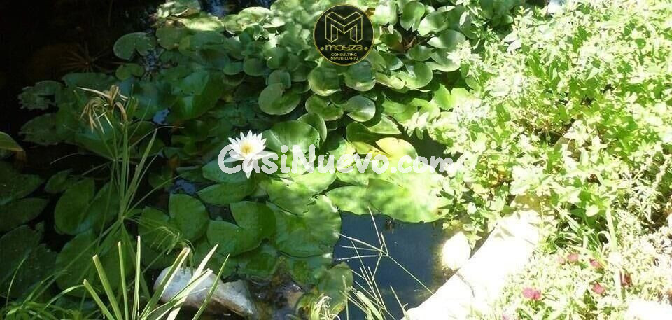 CHALET EN LA YEDRA - foto 7