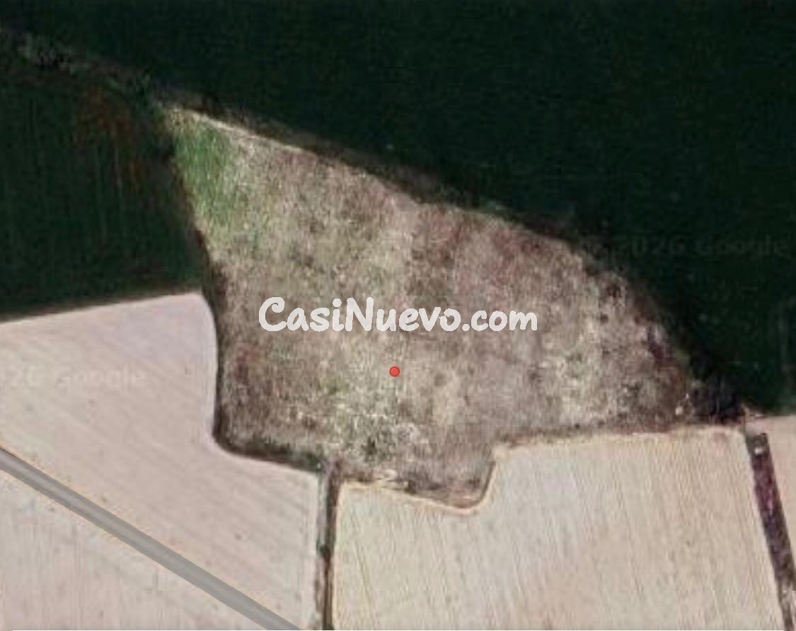 TERRENO RÚSTICO EN CAÑICAS ALBACETE - foto 2