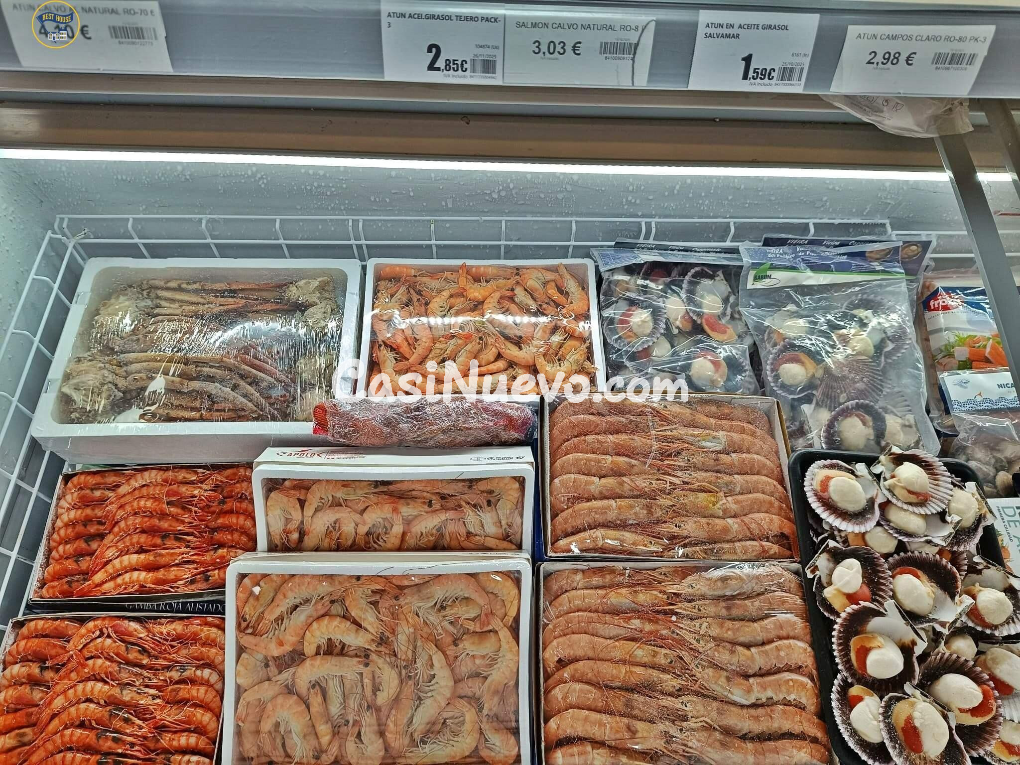 SUPERMERCADO EN TRASPASO – CALLE SAN FERNANDO – SANTA POLA - foto 10