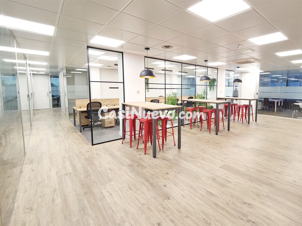 Oficina en alquiler en Paseo de la Castellana - foto 6