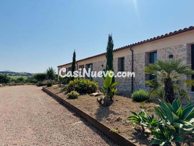 FINCA RUSTICA EN  SA TEULERA - PETRA - foto 4