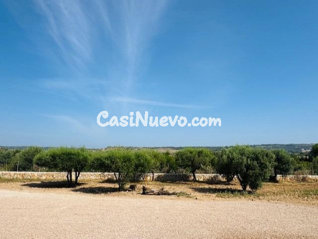 FINCA RUSTICA EN  SA TEULERA - PETRA - foto 8