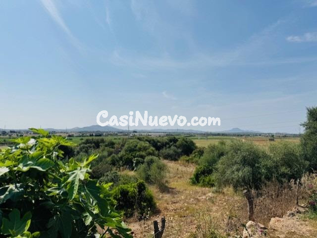 FINCA RUSTICA EN  SA TEULERA - PETRA - foto 47