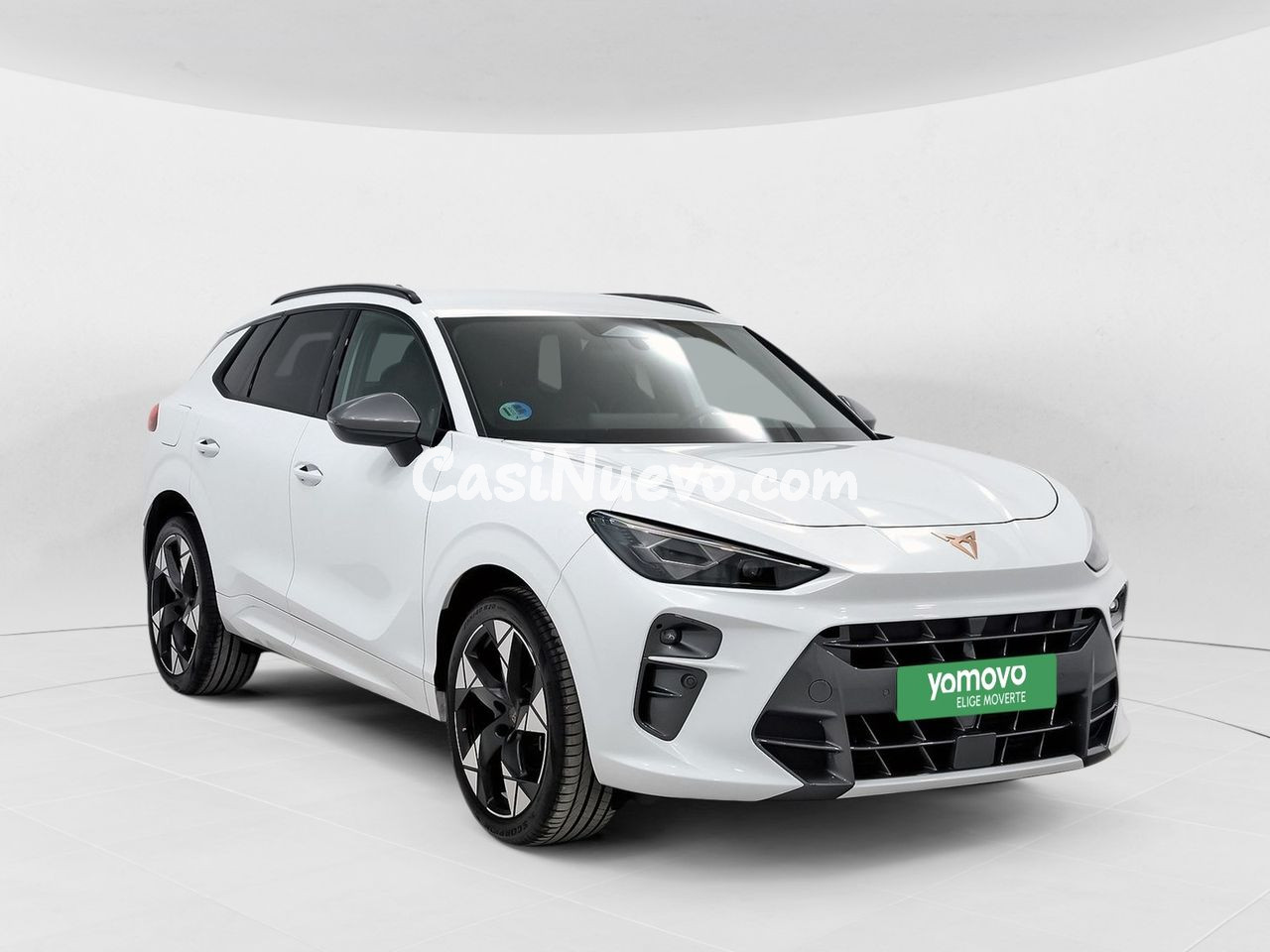 Cupra Terramar 1.5 eTSI 110kW (150 CV) DSG