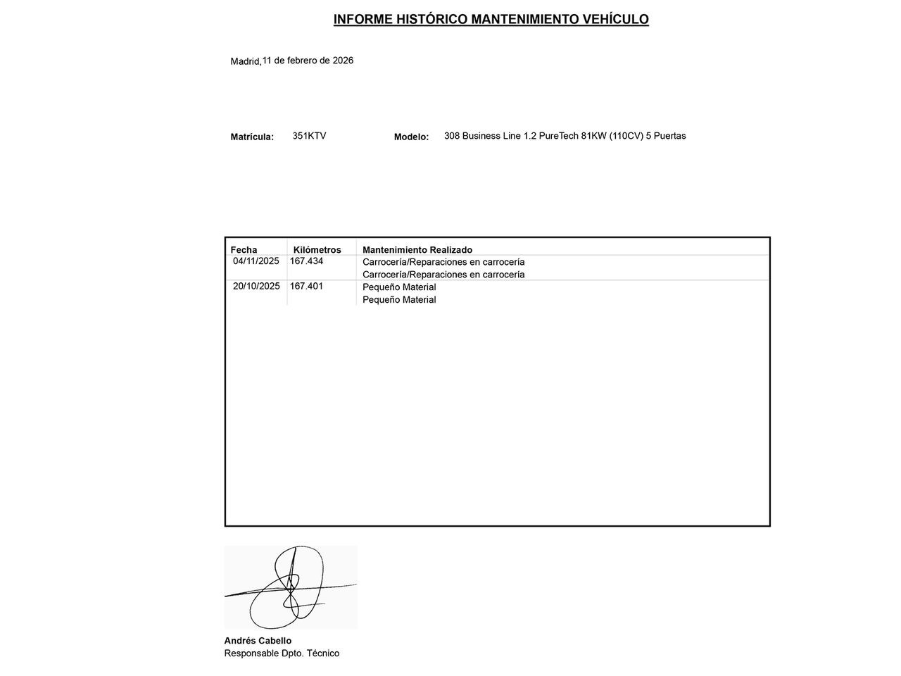 Peugeot 308 Business Line - foto 24