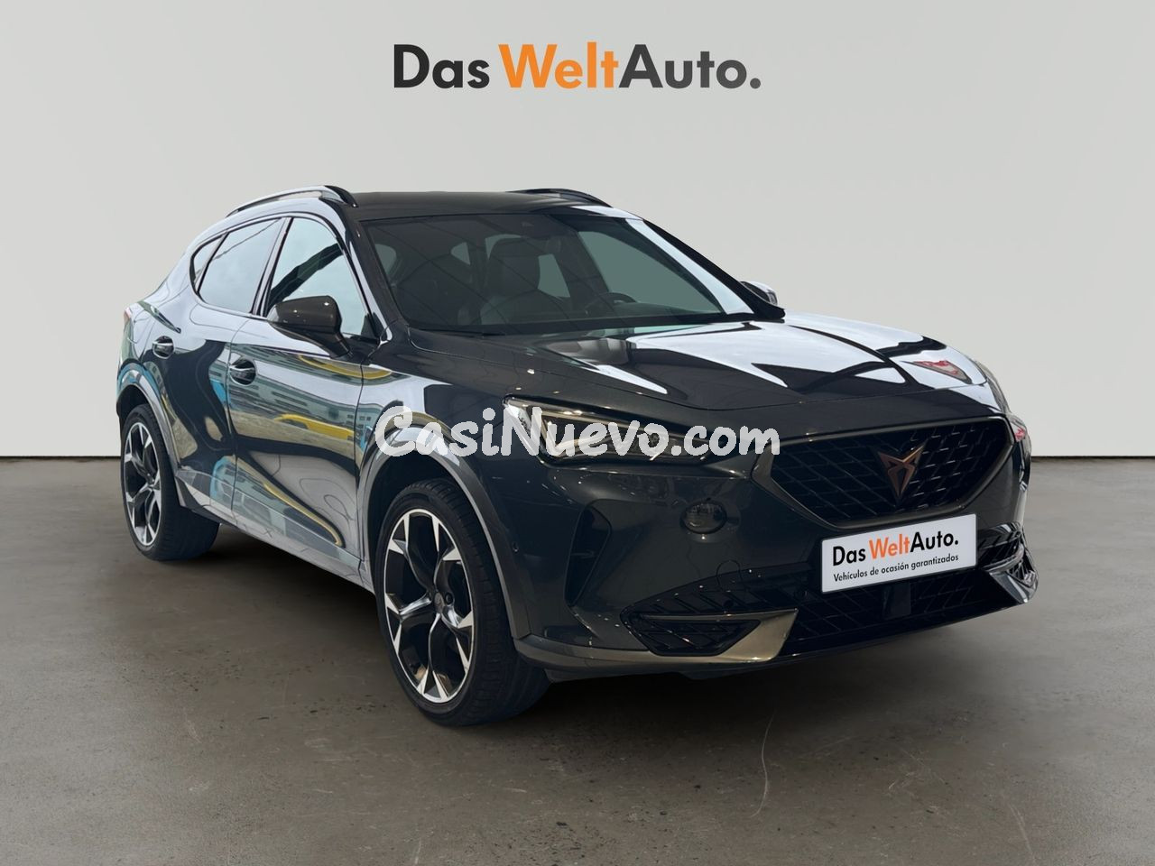 Cupra Formentor 1.5 TSI 110KW (150 CV) DSG