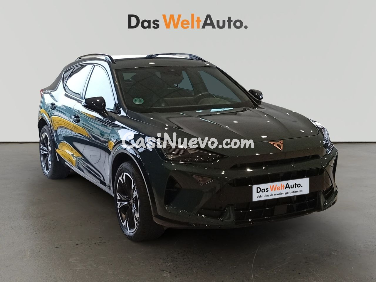 Cupra Formentor 2.0 TDI 110KW (150 CV) DSG