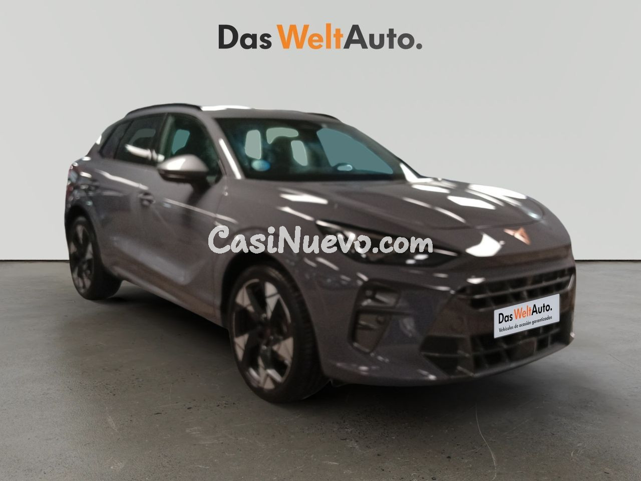 Cupra Terramar 1.5 ETSI 110KW (150 CV) DSG