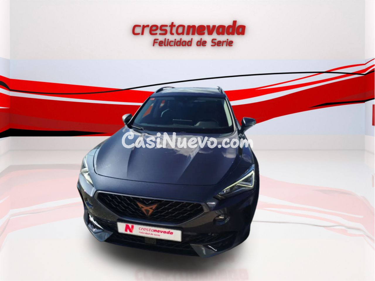 Cupra Formentor 2.0 TDI 110kW 150 CV - foto 2