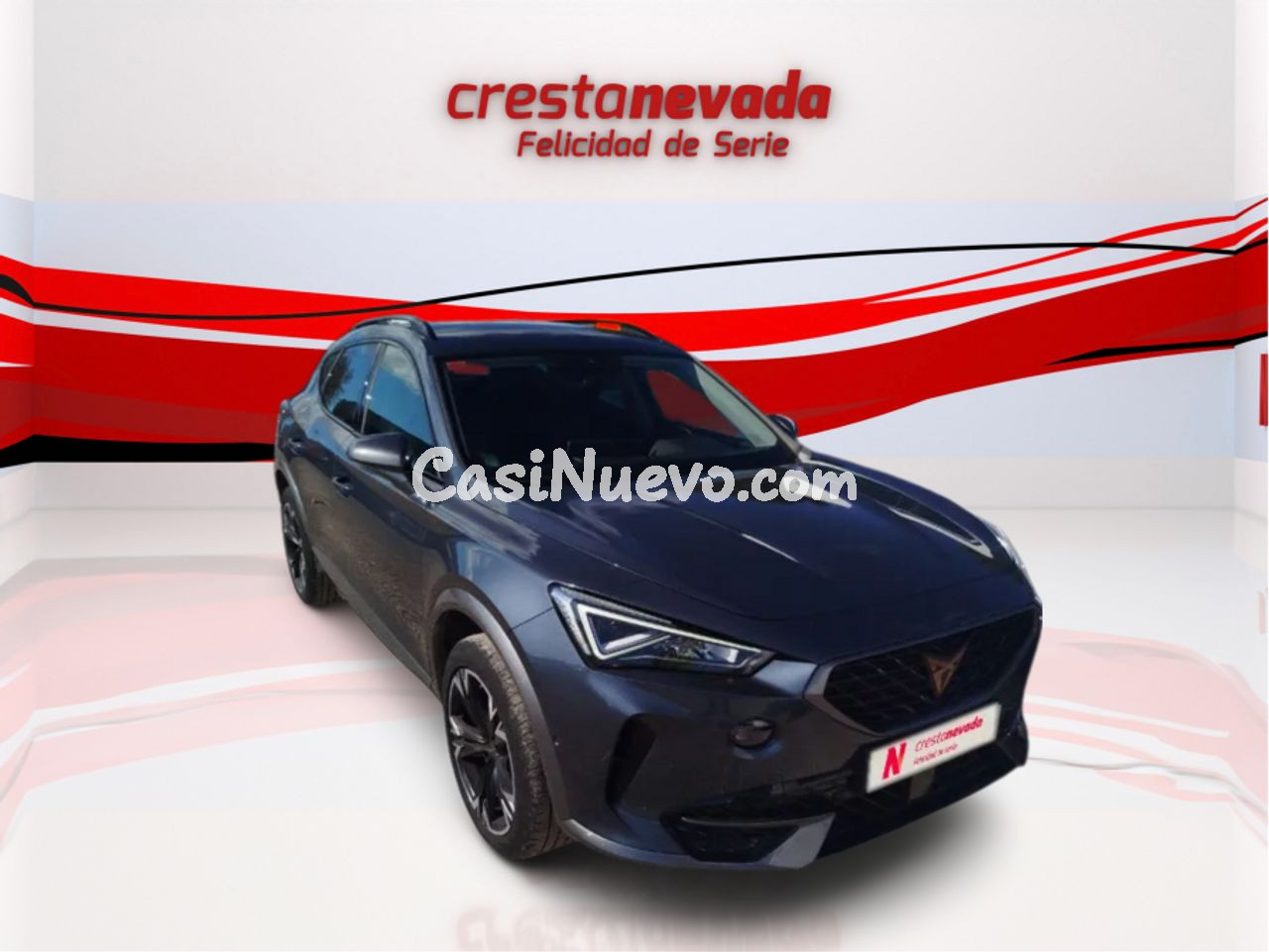 Cupra Formentor 2.0 TDI 110kW 150 CV - foto 3