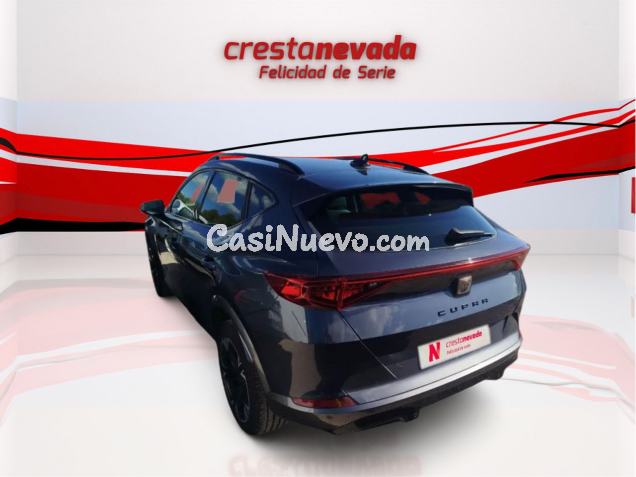 Cupra Formentor 2.0 TDI 110kW 150 CV - foto 5