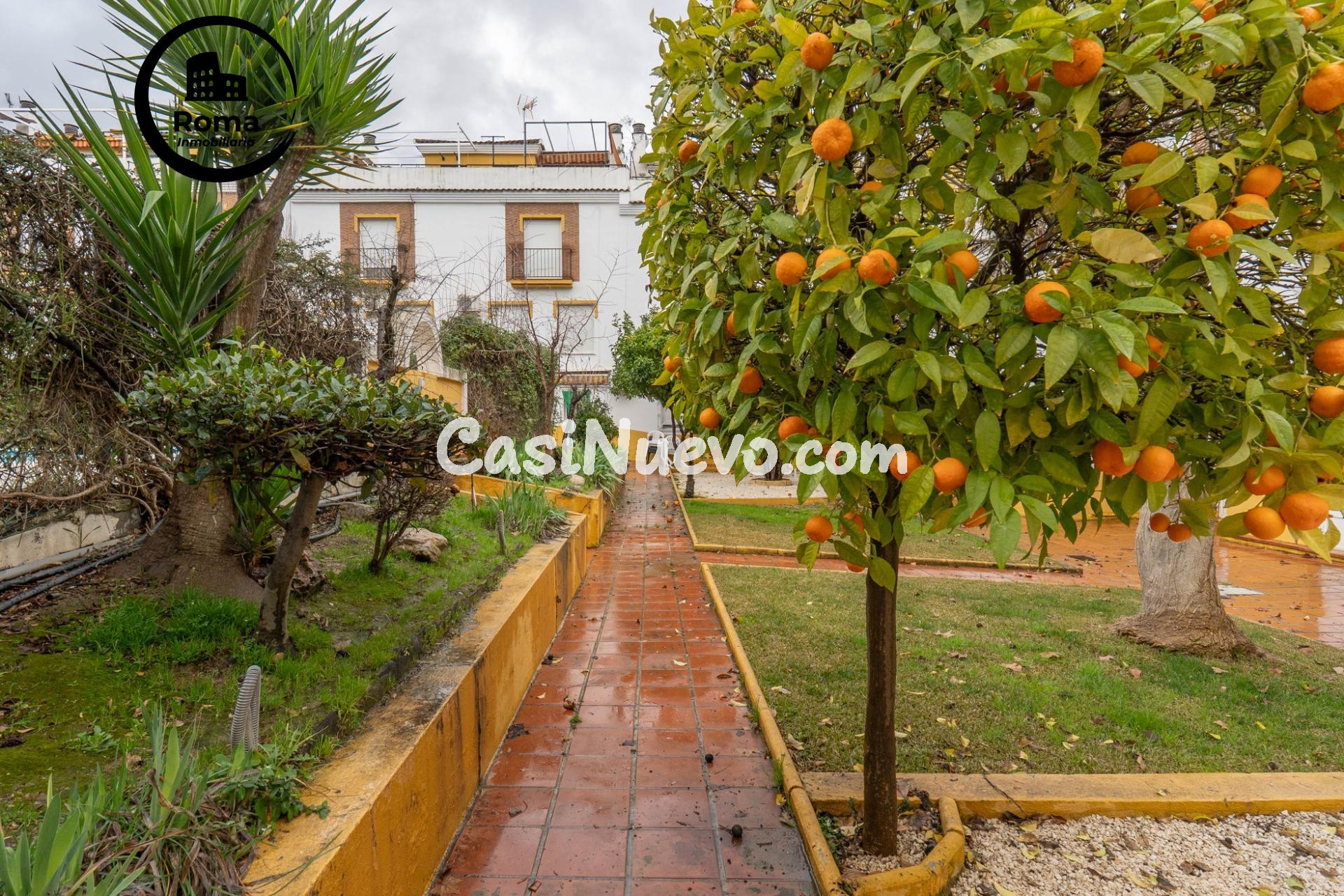 ¡CASA EN ESTACIÓN DE AUTOBUSES, TU NUEVO HOGAR CON MUCHO RIT - foto 47