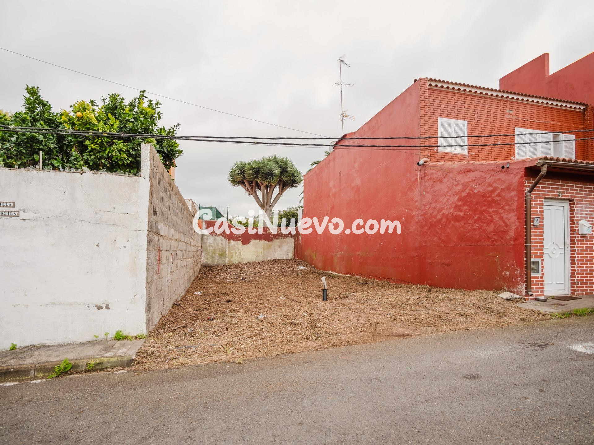 Solar urbano en Teror - El Palmar - foto 4