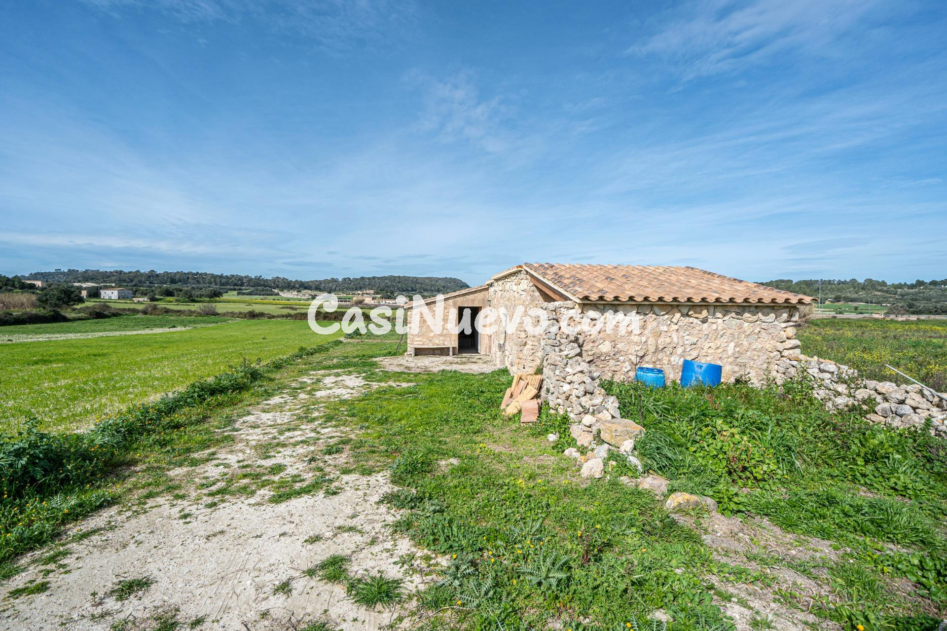 Terreno rústico en Montuiri - foto 4