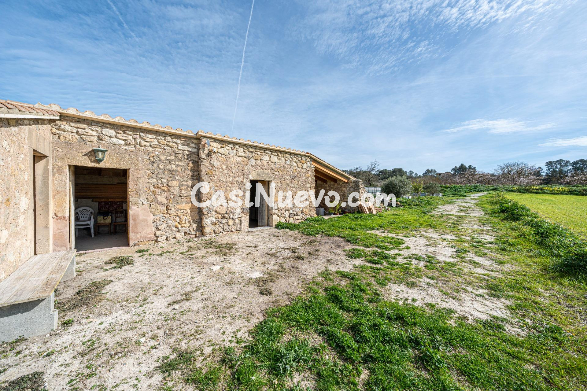 Terreno rústico en Montuiri - foto 5