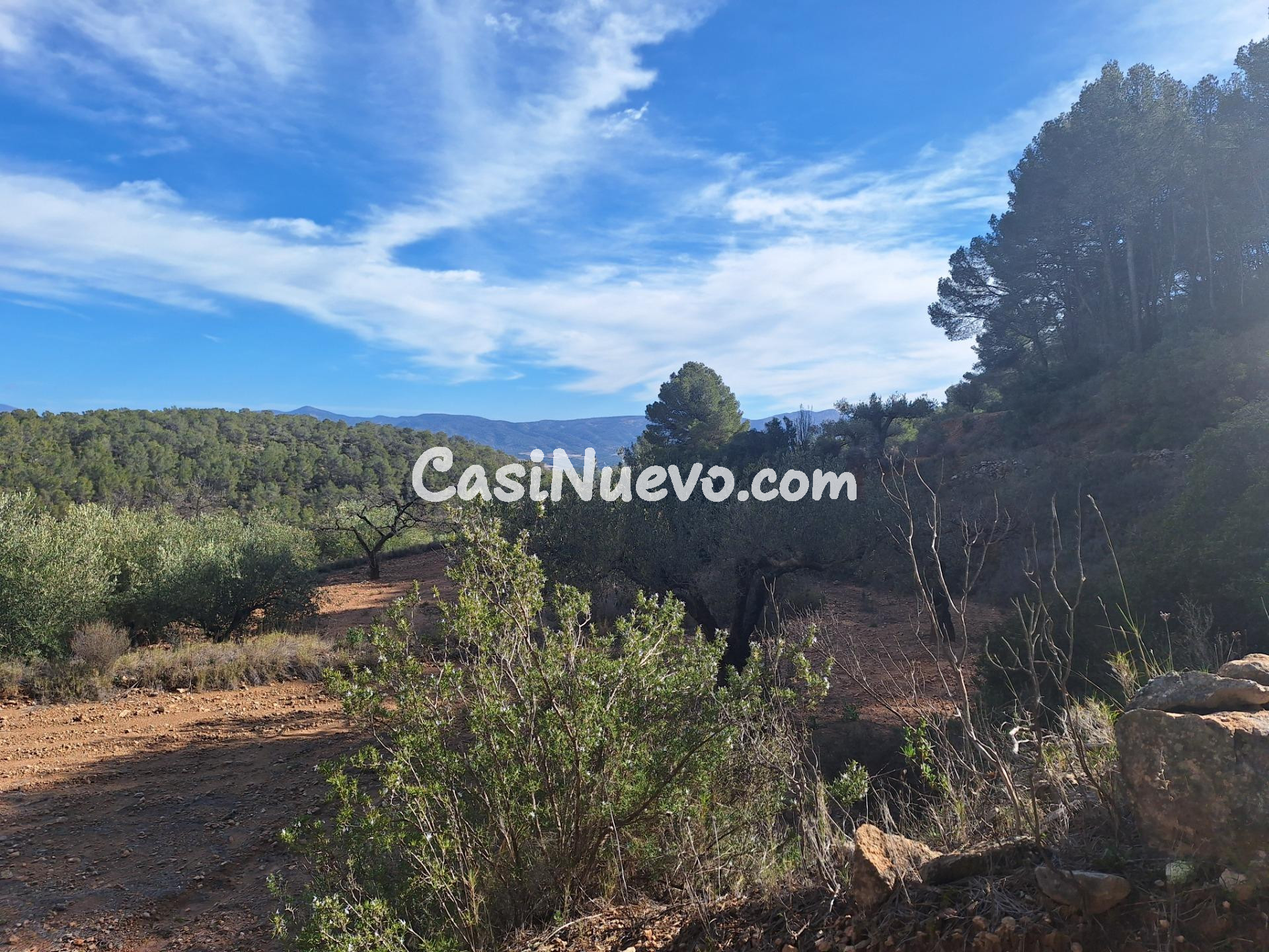 OPORTUNIDAD TERRENO RUSTICO CON PRODUCCION AGRICOLA A 3KM. DE CASTALLA Y MUY BUENA ACCESIBILIDAD, EN ZONA CASETA LEAL