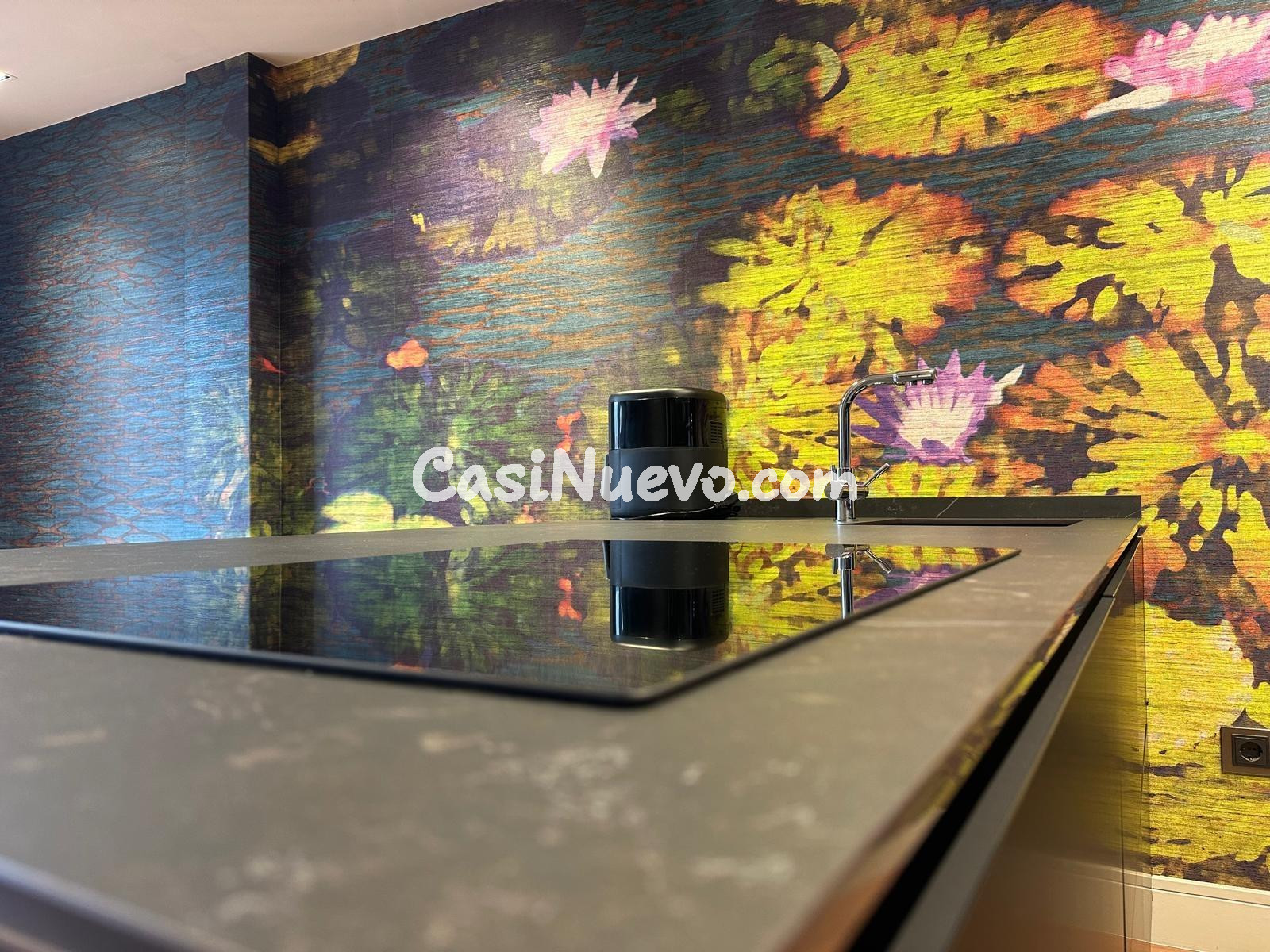 Ñtico Dúplex de Lujo en el Parque de San Lázaro, Ourenseð - foto 4