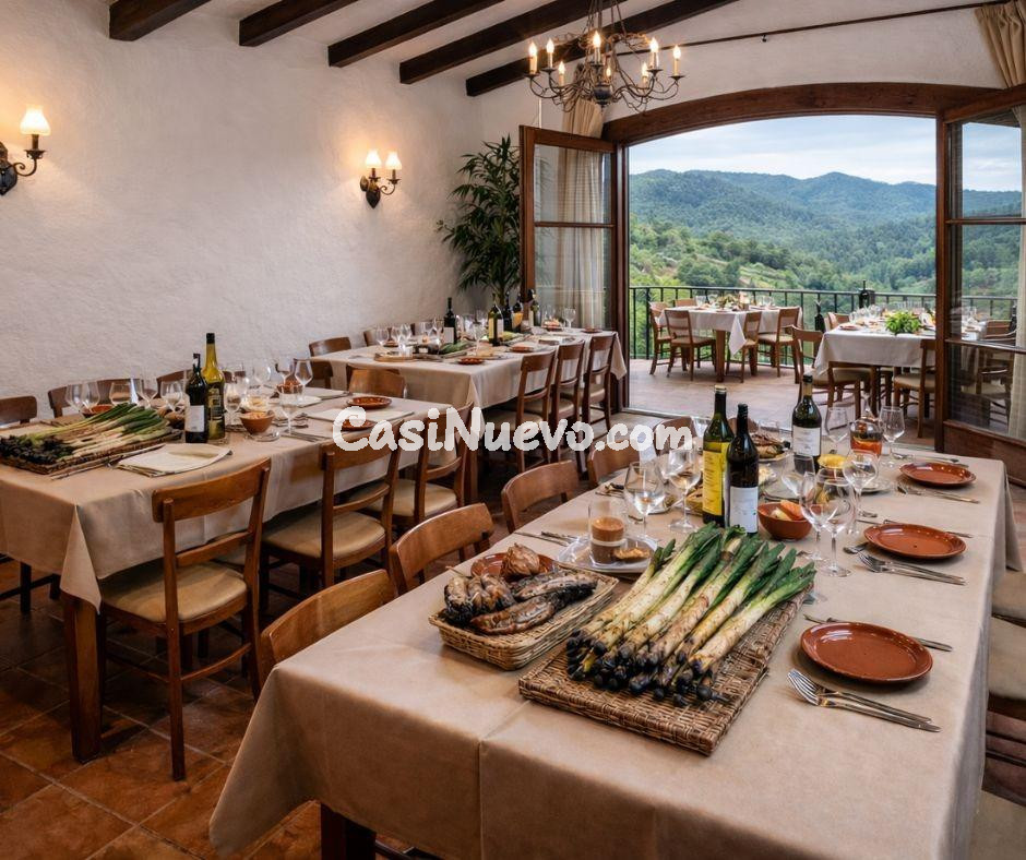 Venta de masia catalana con restaurante activo en zona premi