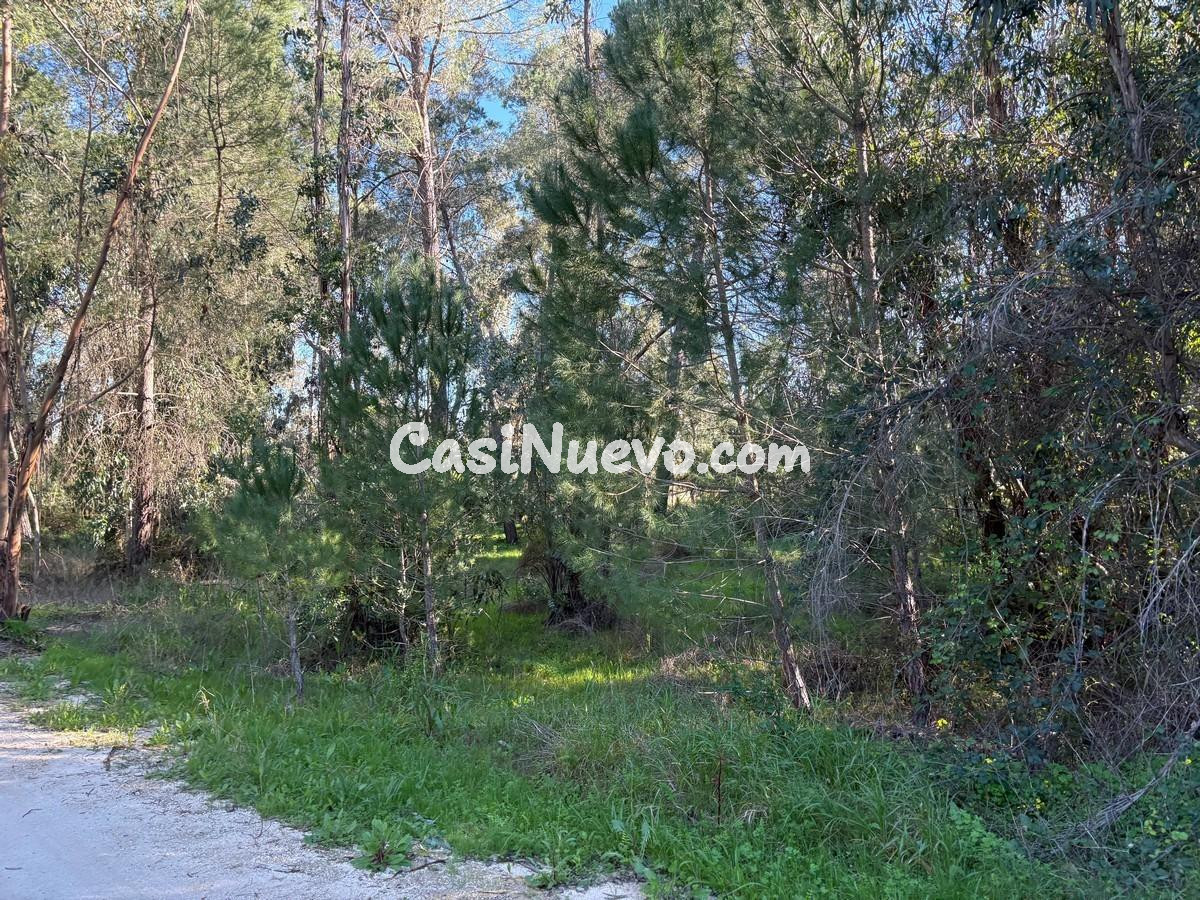 Fincas de recreo - foto 4
