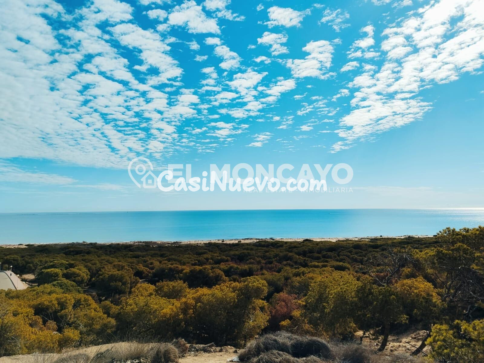 Fantástico apartamento con terraza orientada al sur a tan so - foto 22