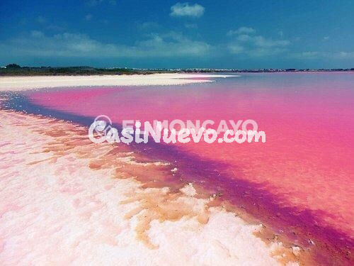 Fantástico apartamento con terraza orientada al sur a tan so - foto 23