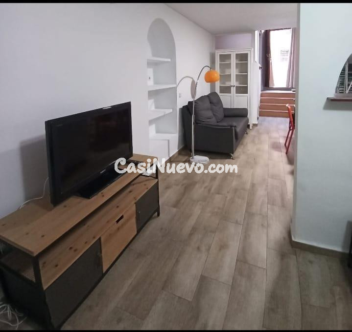 SE ALQUILA SOLO POR TEMPORADA LOFT CON ENCANTO EN EL CASCO A