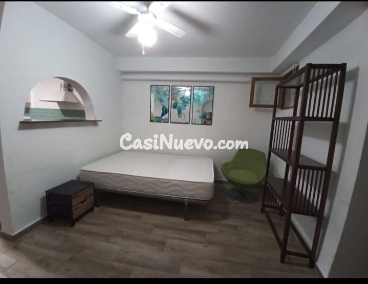 SE ALQUILA SOLO POR TEMPORADA LOFT CON ENCANTO EN EL CASCO A - foto 5