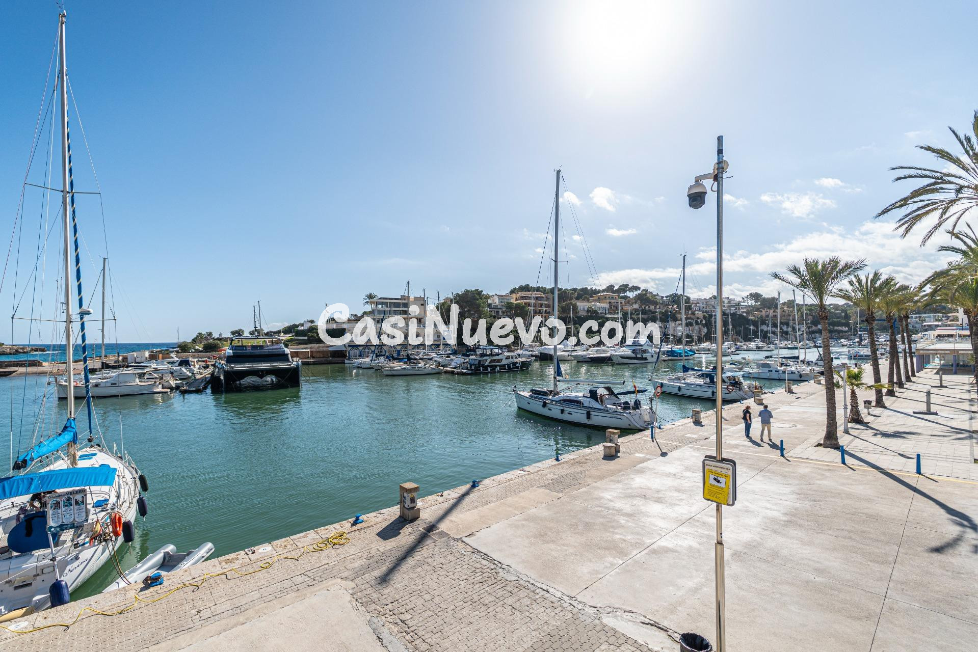 ¡Descubre esta increíble oportunidad en Porto Cristo! - foto 3