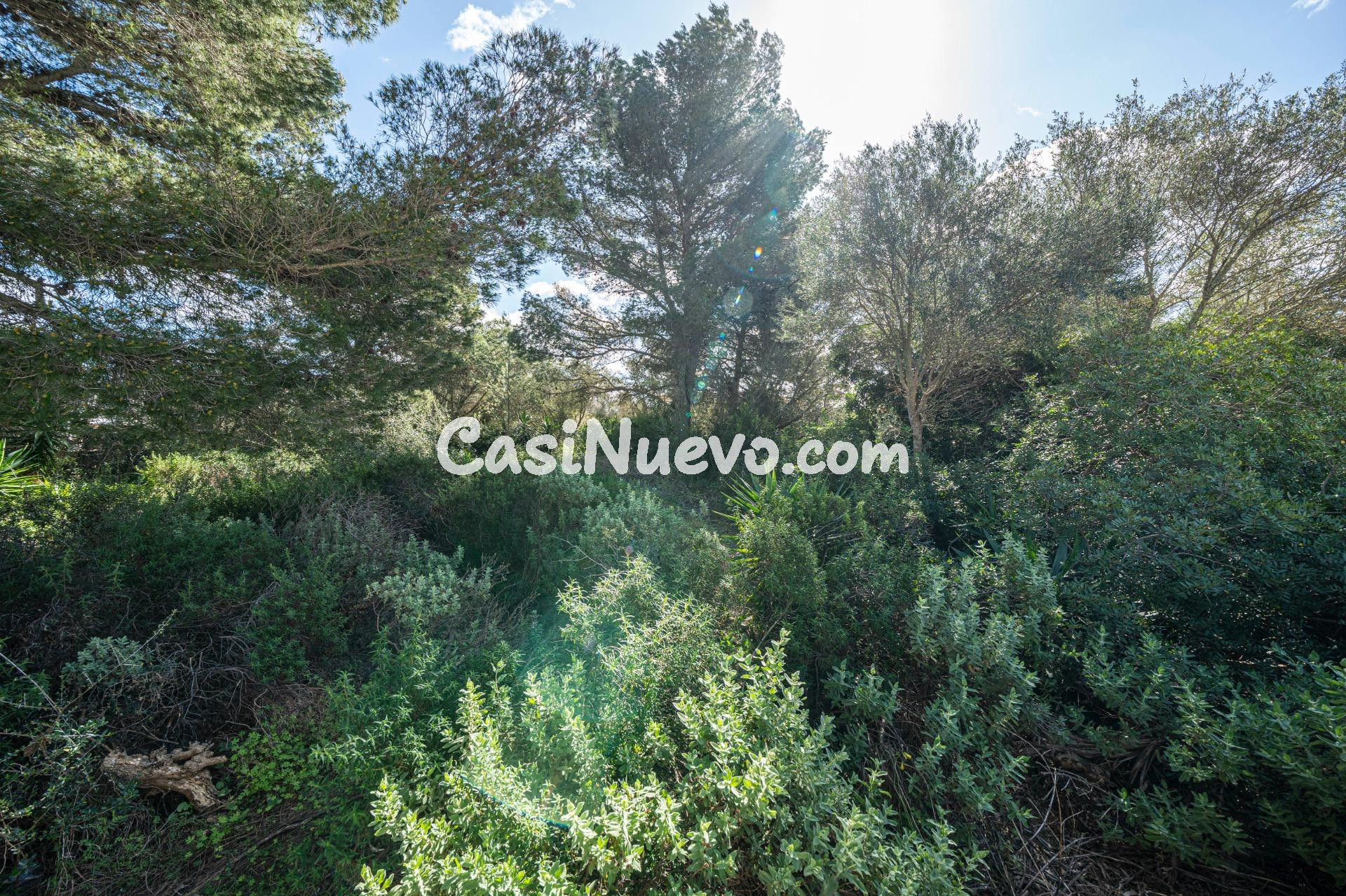 Terreno urbanizable en Son Serra de Marina - foto 12