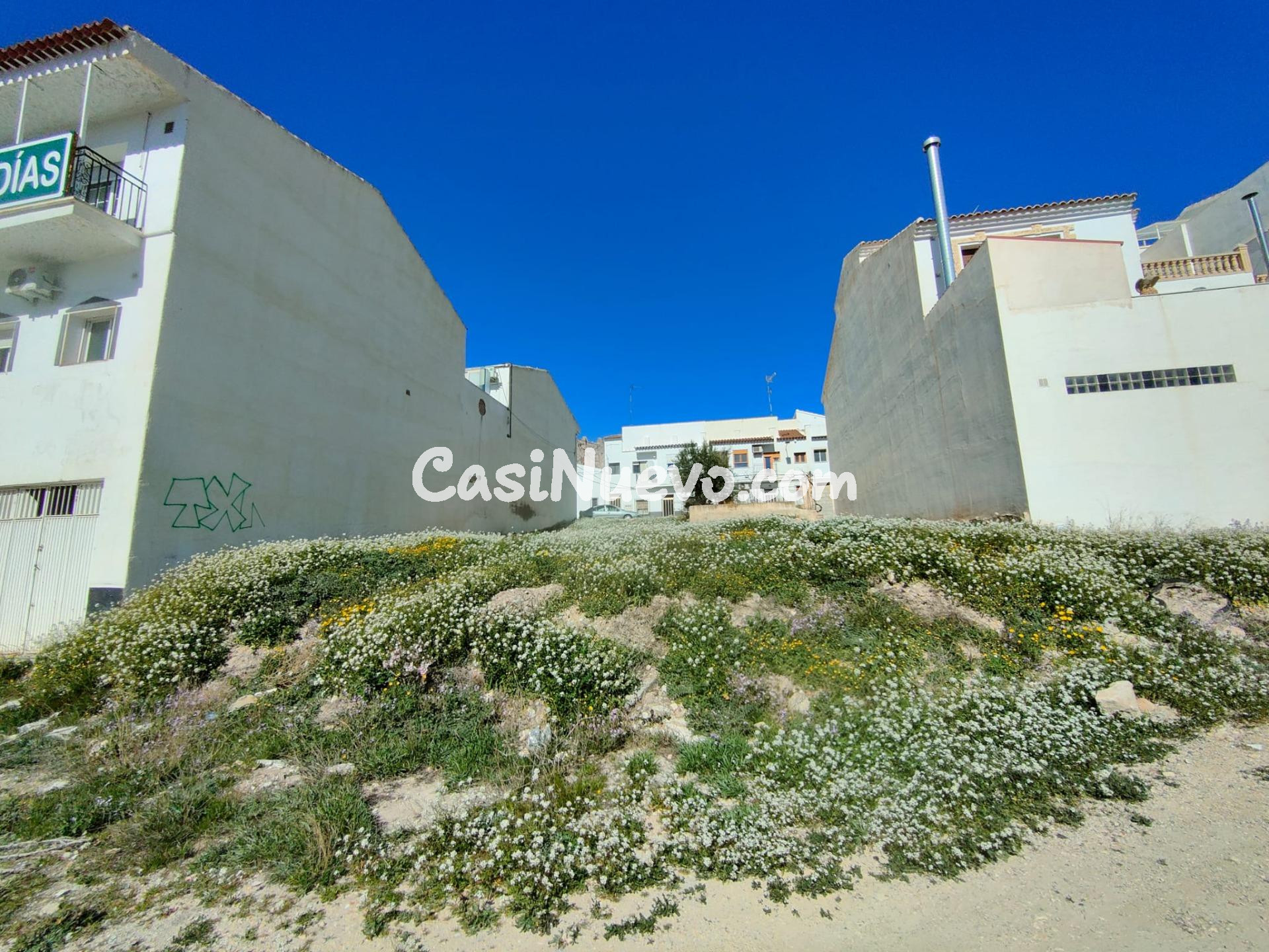 Excelente oportunidad de inversión en Vélez-Rubio – solar en - foto 6