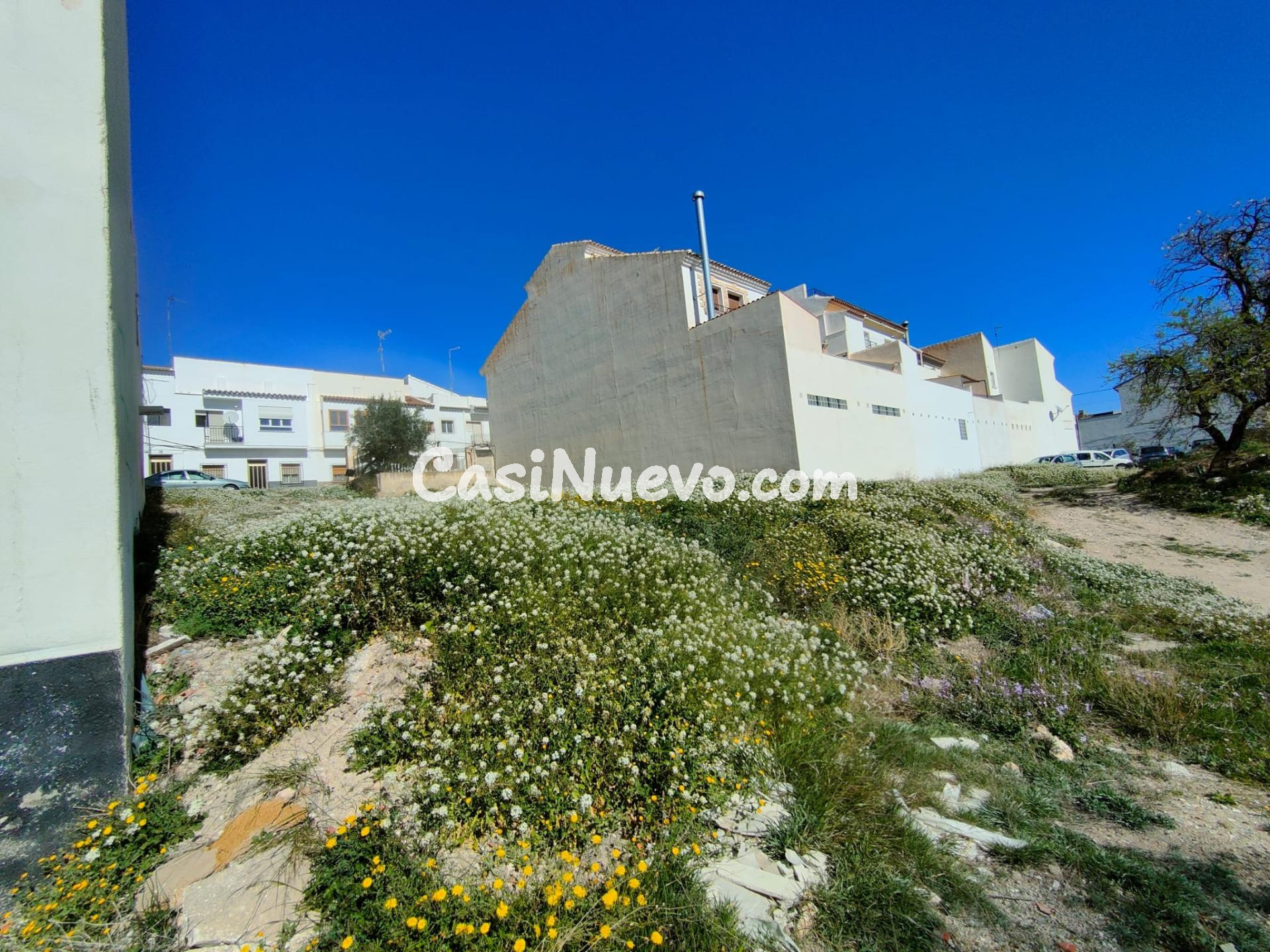 Excelente oportunidad de inversión en Vélez-Rubio – solar en - foto 7