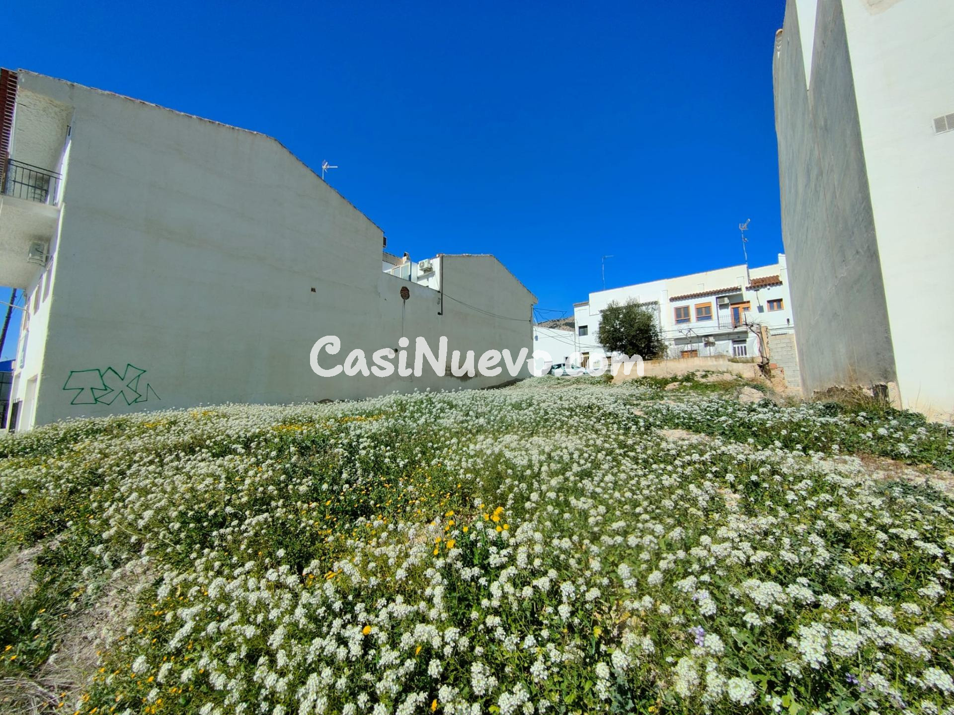 Excelente oportunidad de inversión en Vélez-Rubio – solar en - foto 8