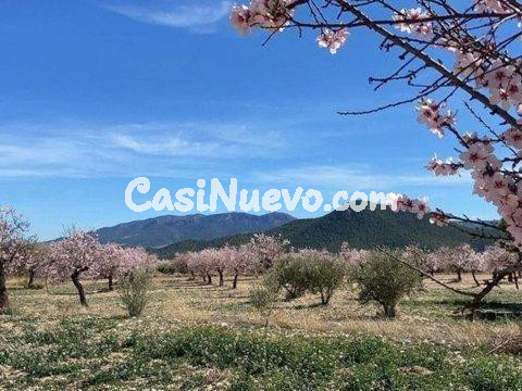 Excelente oportunidad de inversión en Vélez-Rubio – solar en - foto 16