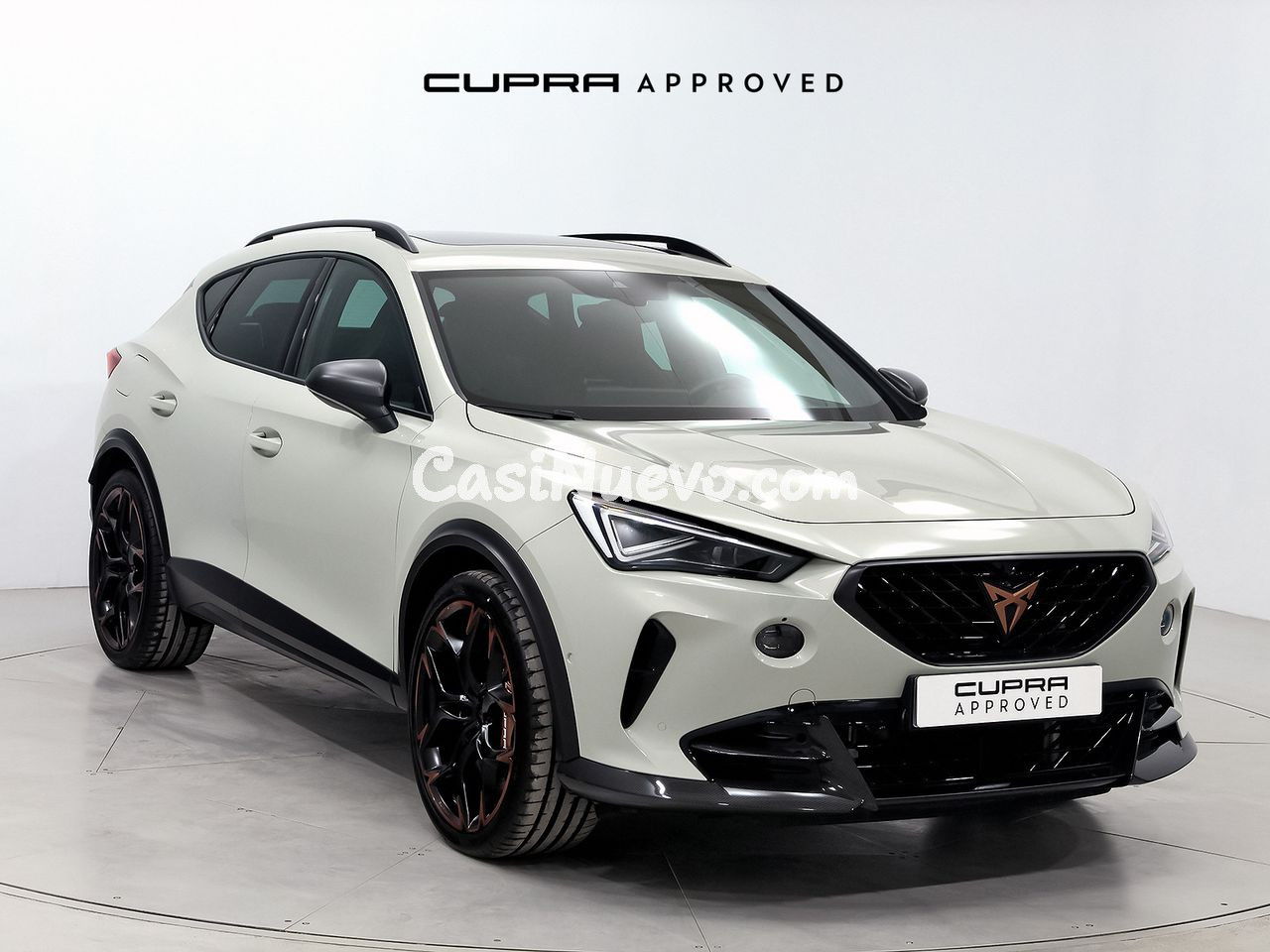 Cupra Formentor 2.5 TSI 287kW (390 CV) VZ5 TG 4Drive DSG