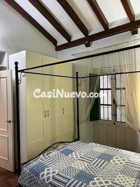 Centro Encarnación, junto a la Plaza DE LAS SETAS. Excelente - foto 12